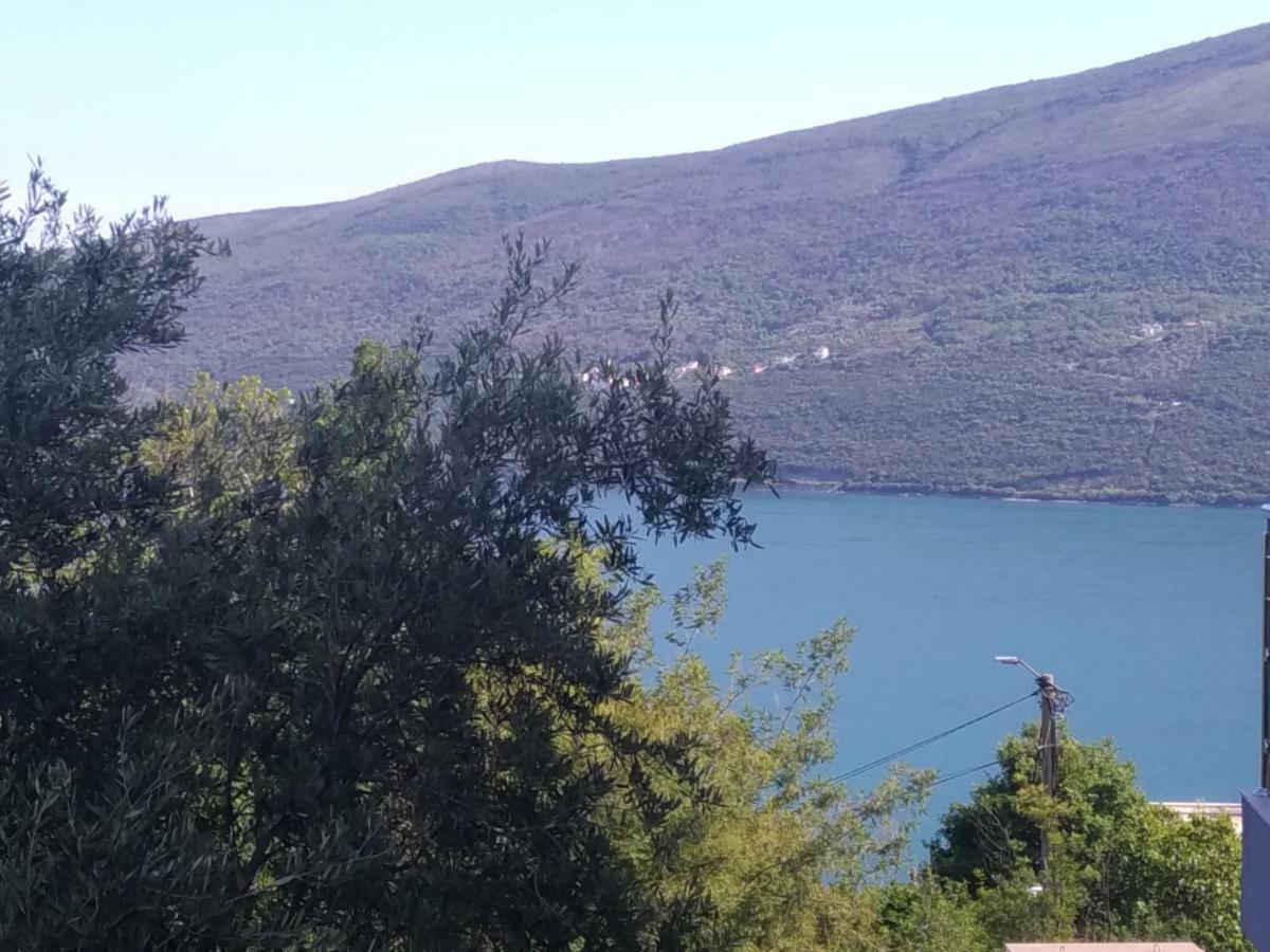 Apartments Acacia Hill Ðenovići Dış mekan fotoğraf