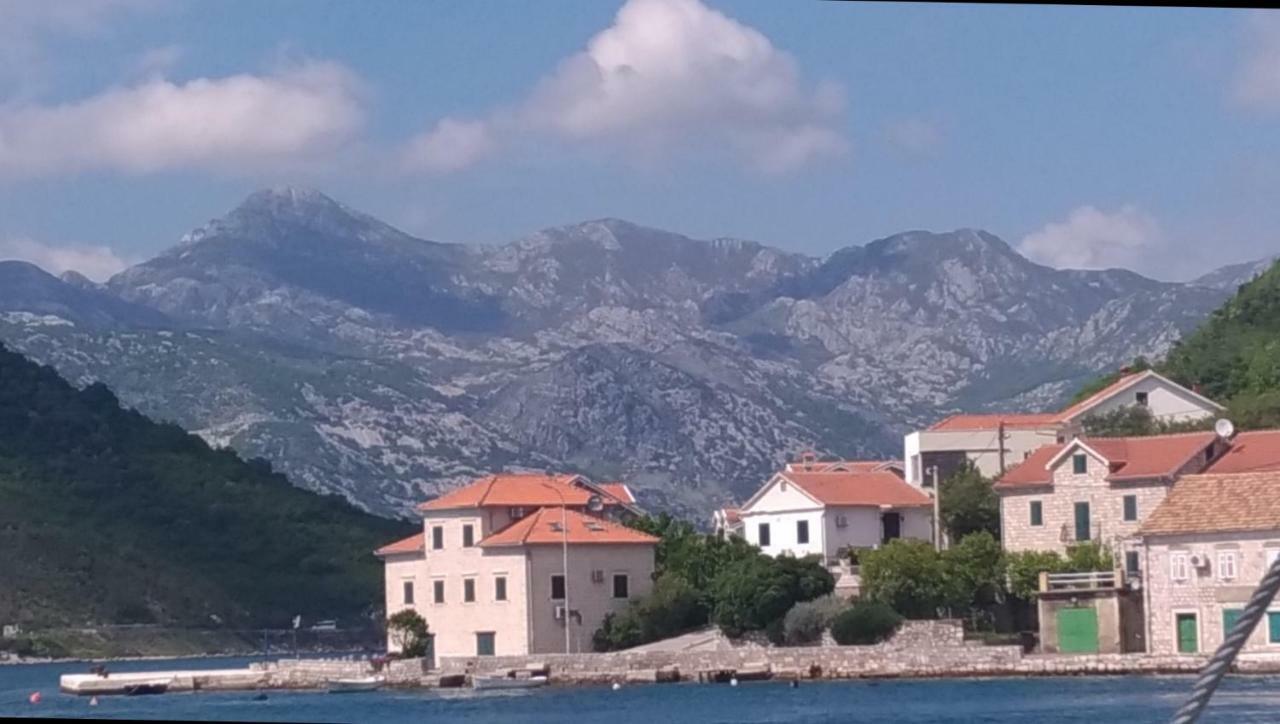 Apartments Acacia Hill Ðenovići Dış mekan fotoğraf